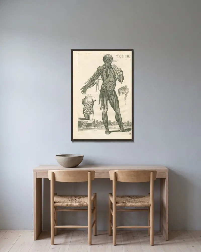 Tabulae anatomicae a celeberrimo pictore Petro Berretino Cortonensi Pl.04 av Pietro da Cortona inramad på en vägg