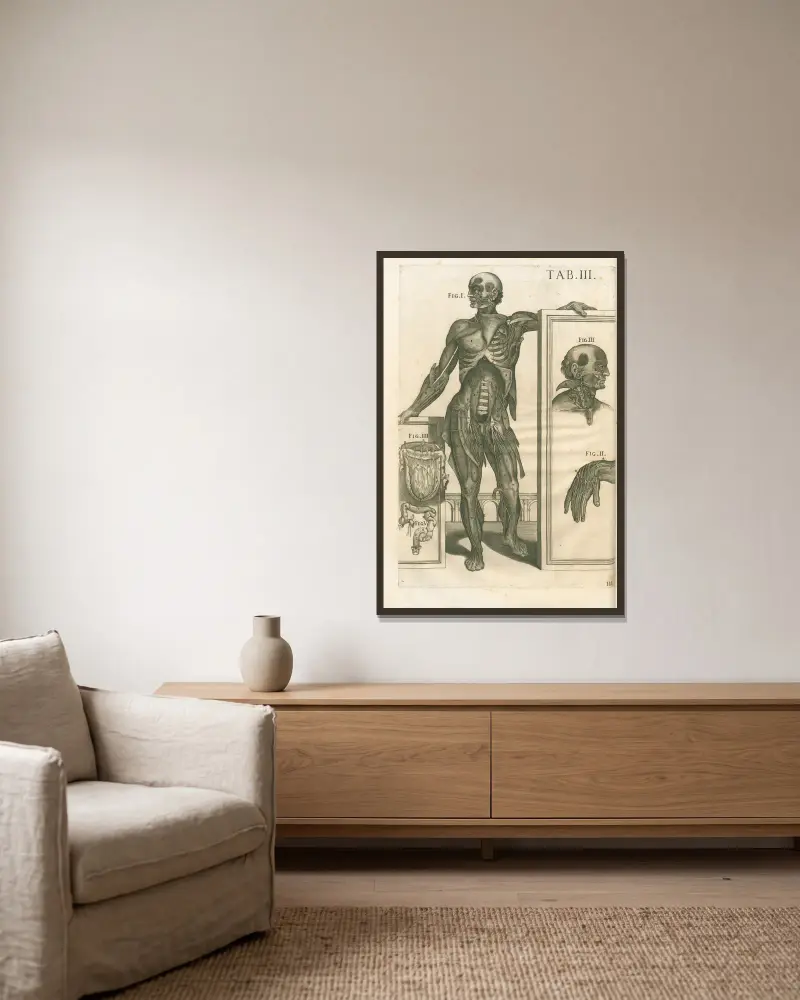 Tabulae anatomicae a celeberrimo pictore Petro Berretino Cortonensi Pl.03 av Pietro da Cortona inramad på en vägg