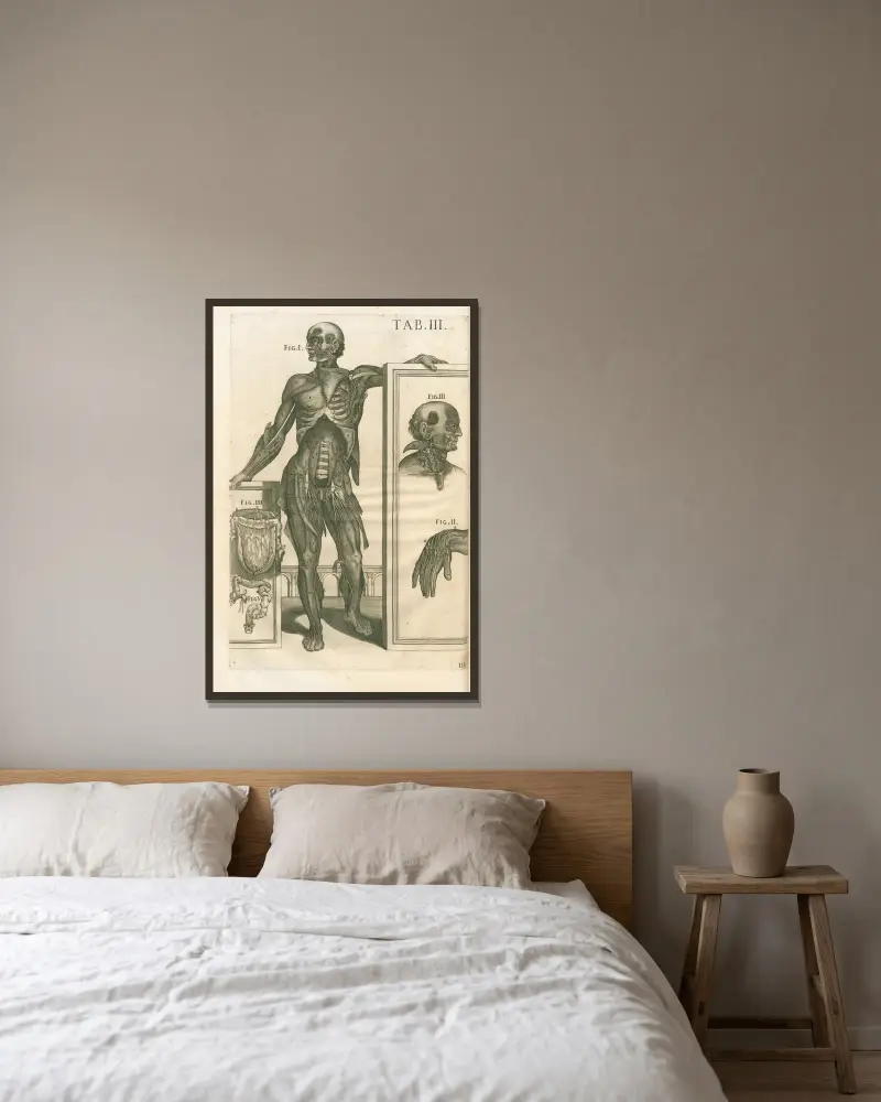 Tabulae anatomicae a celeberrimo pictore Petro Berretino Cortonensi Pl.03 av Pietro da Cortona inramad på en vägg