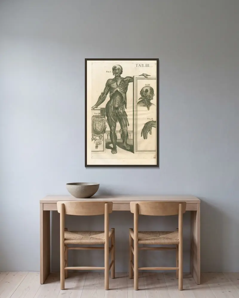 Tabulae anatomicae a celeberrimo pictore Petro Berretino Cortonensi Pl.03 av Pietro da Cortona inramad på en vägg