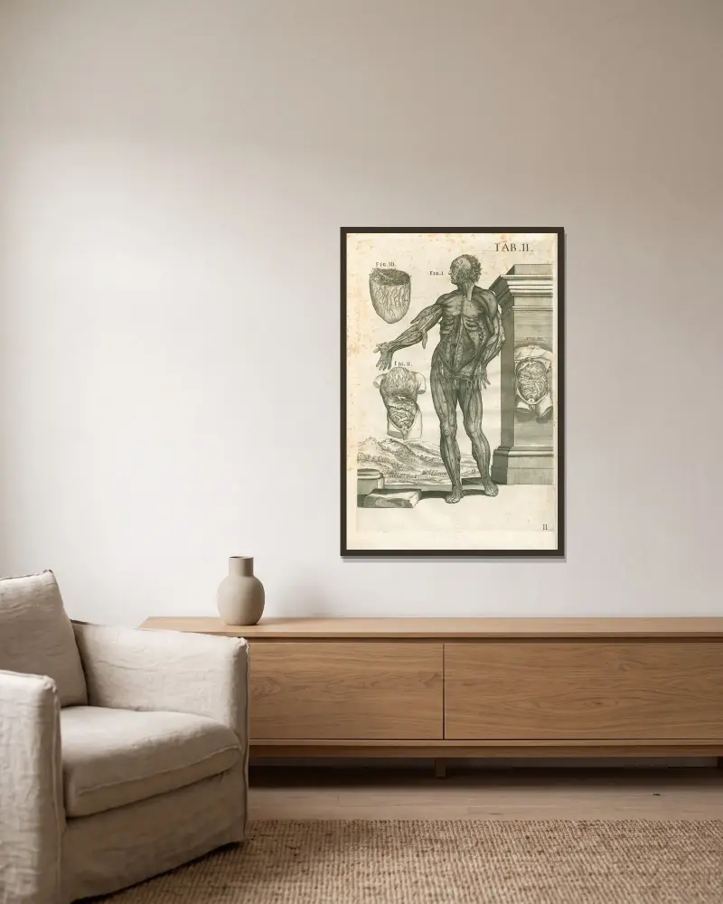 Tabulae anatomicae a celeberrimo pictore Petro Berretino Cortonensi Pl.02 av Pietro da Cortona inramad på en vägg