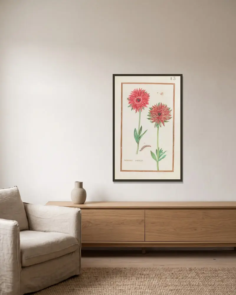 Gefüllte Anemonen, 1624 – Nr. 1 von Daniel Rabel gerahmt an einer Wand