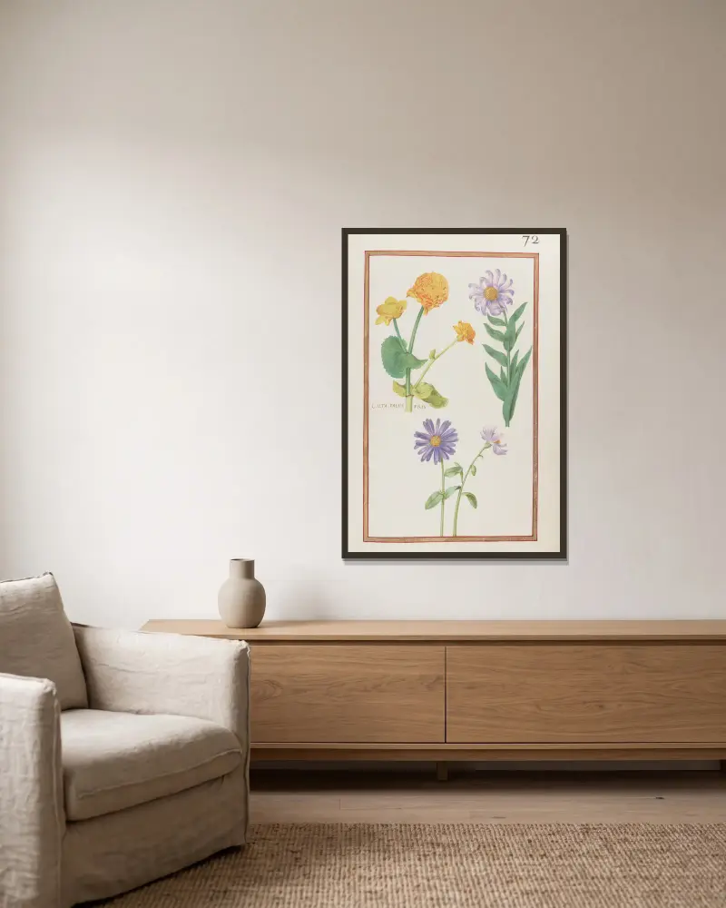 Calta palustris von Daniel Rabel gerahmt an einer Wand