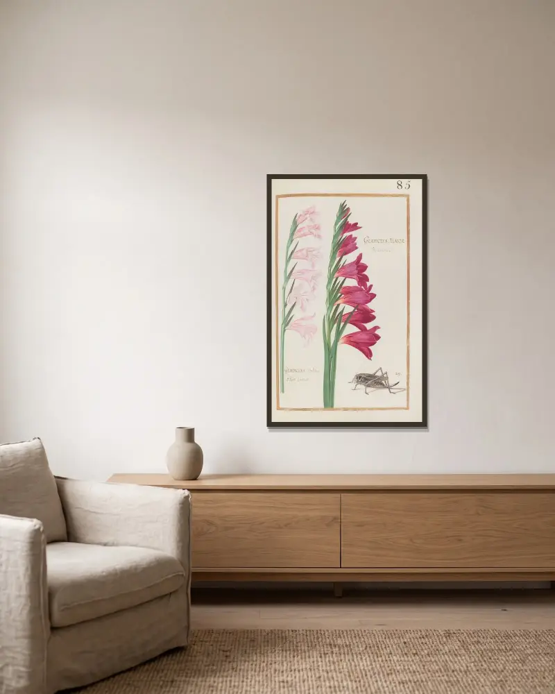 Stor gladiolus och italiensk gladiolus med hudfärgad blomma av Daniel Rabel inramad på en vägg