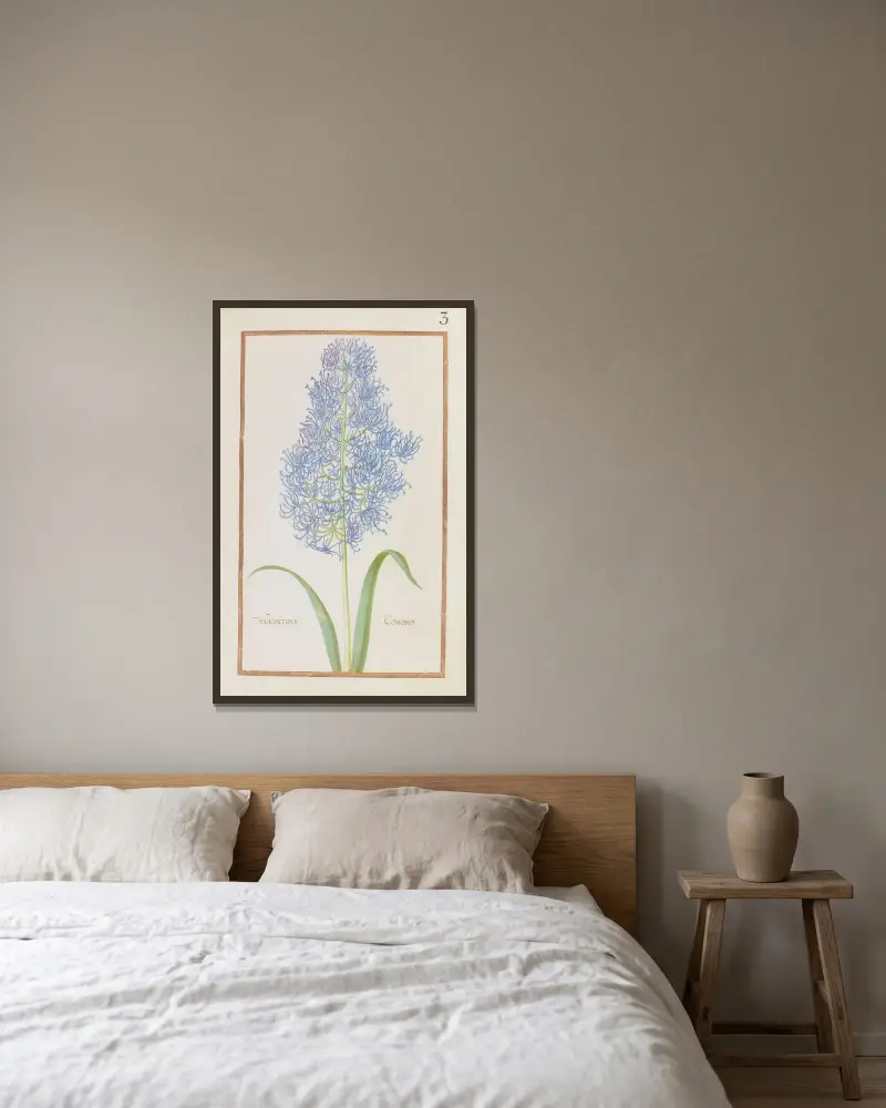 Hyacinthus comosus von Daniel Rabel gerahmt an einer Wand