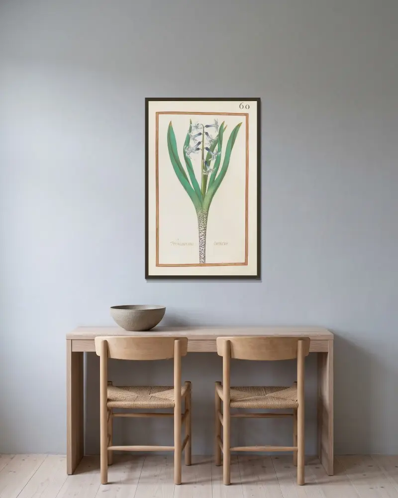 Hyacinthus indicus av Daniel Rabel inramad på en vägg