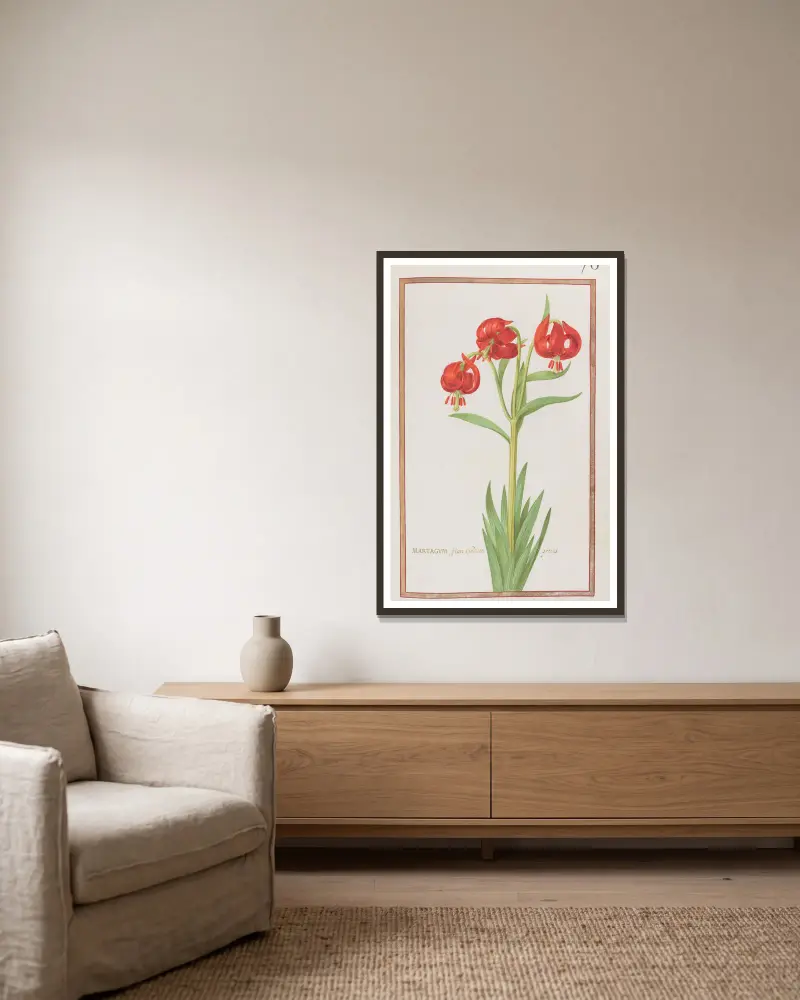 Martagum flore spadiceo precox von Daniel Rabel gerahmt an einer Wand