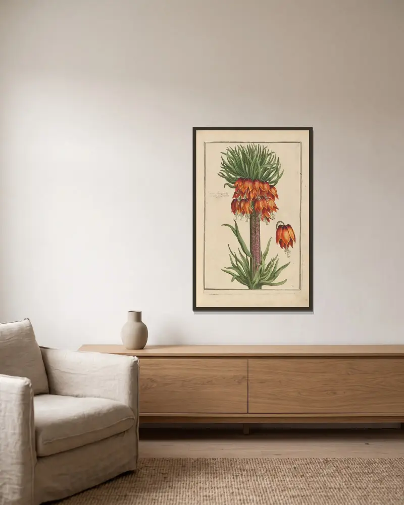 Theatrum florae Pl. 03 von Daniel Rabel gerahmt an einer Wand