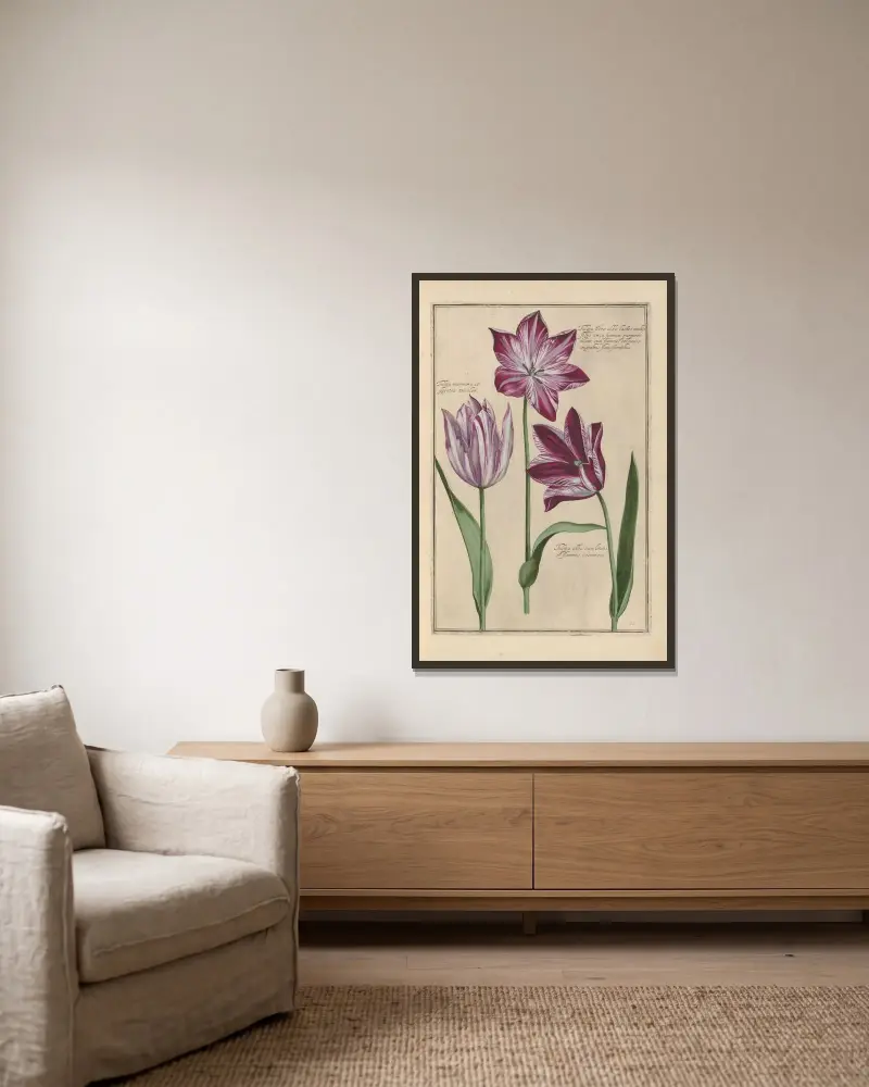 Theatrum florae Pl. 13 von Daniel Rabel gerahmt an einer Wand