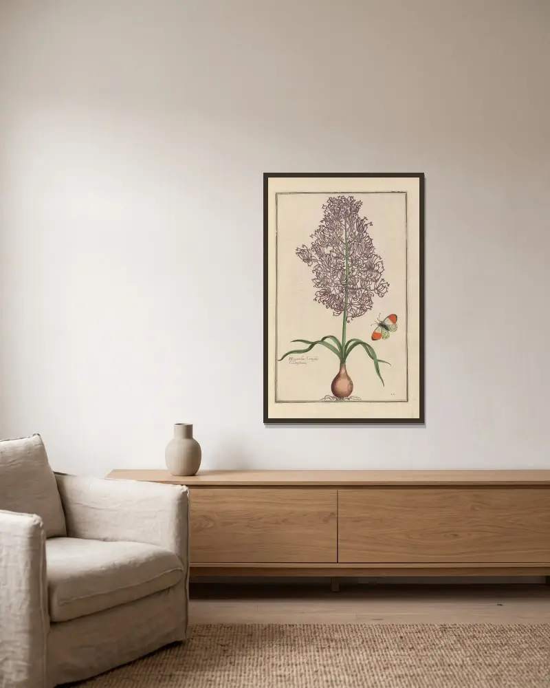 Theatrum florae Pl. 27 von Daniel Rabel gerahmt an einer Wand