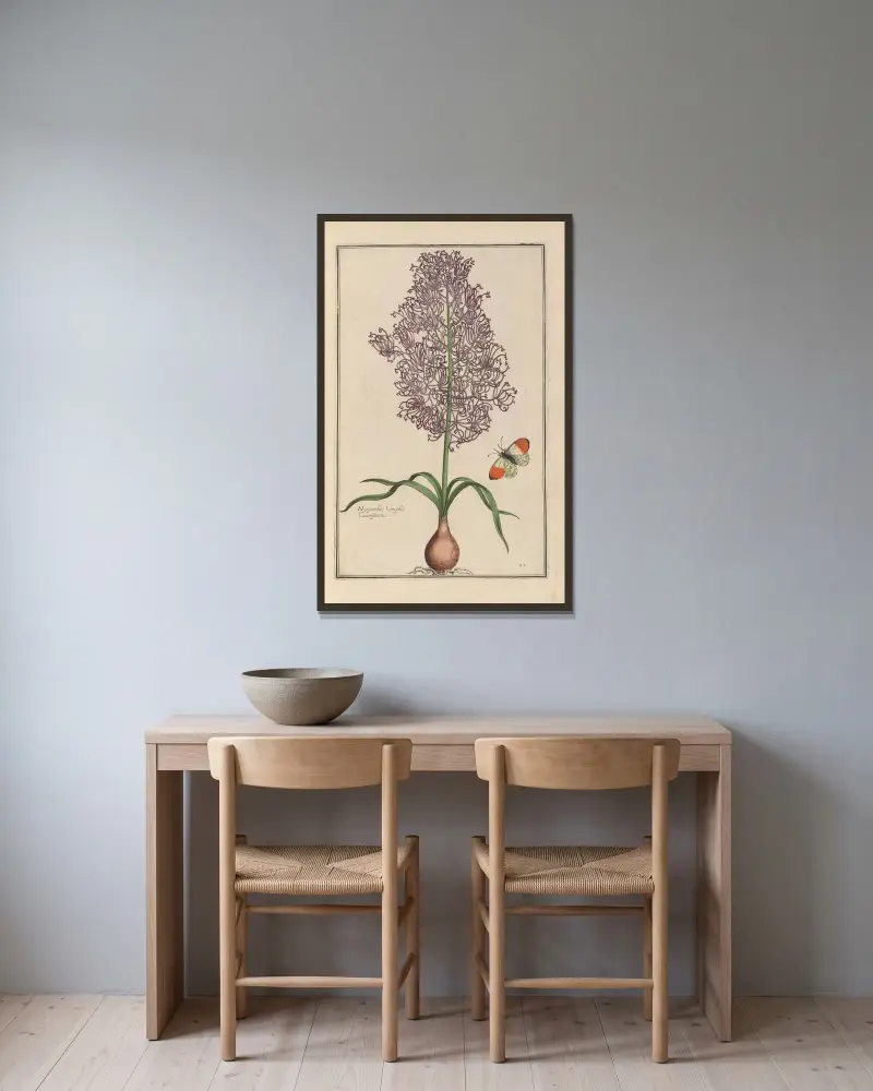 Theatrum florae Pl. 27 von Daniel Rabel gerahmt an einer Wand