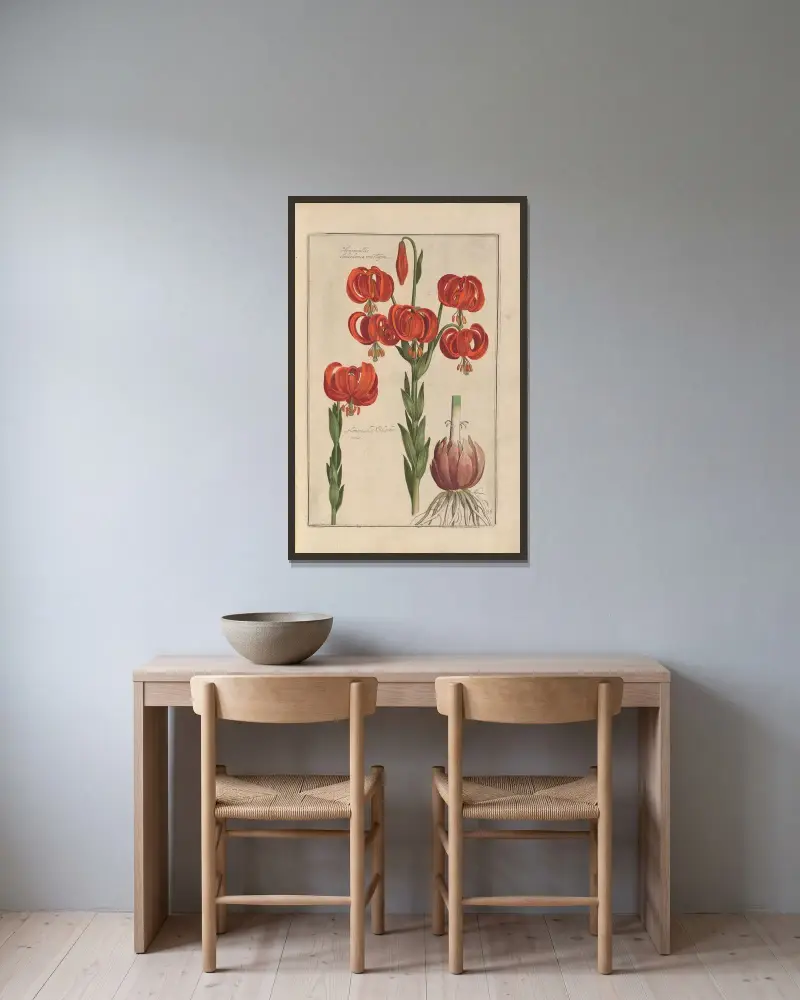 Theatrum florae Pl.38 av Daniel Rabel inramad på en vägg