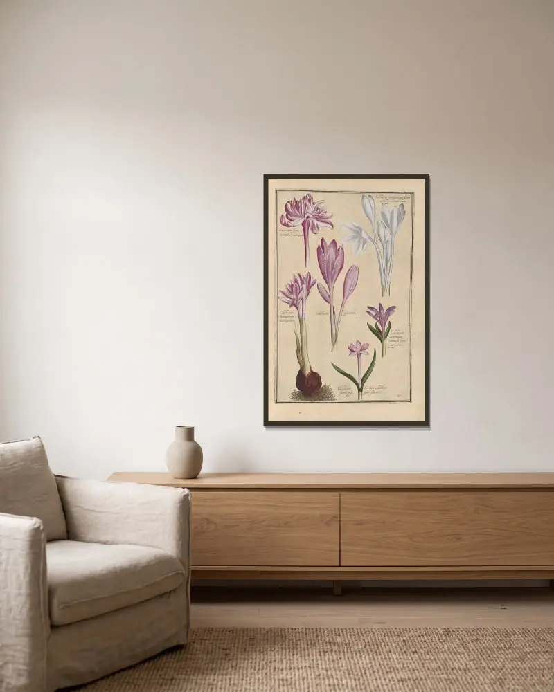 Theatrum florae Taf. 43 von Daniel Rabel gerahmt an einer Wand