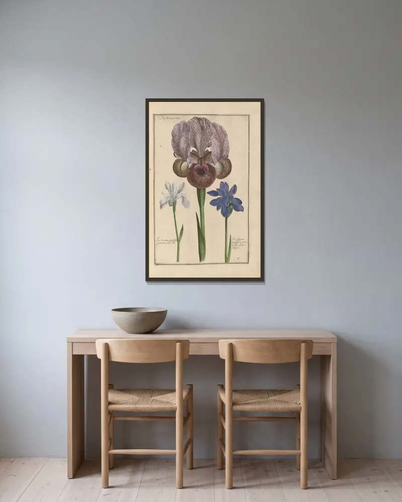 Theatrum florae Pl.47 av Daniel Rabel inramad på en vägg