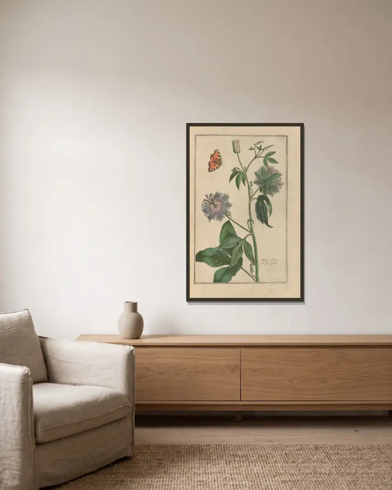 Theatrum florae Pl. 57 von Daniel Rabel gerahmt an einer Wand