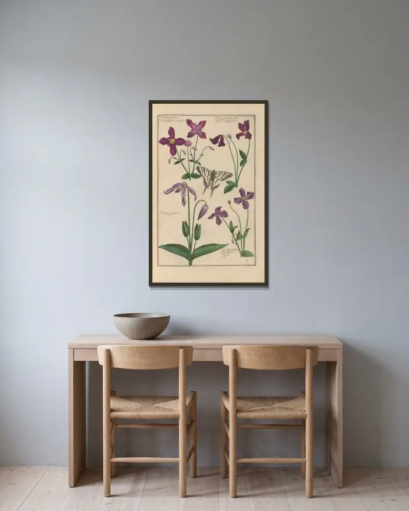 Theatrum florae Tafel 58 von Daniel Rabel gerahmt an einer Wand