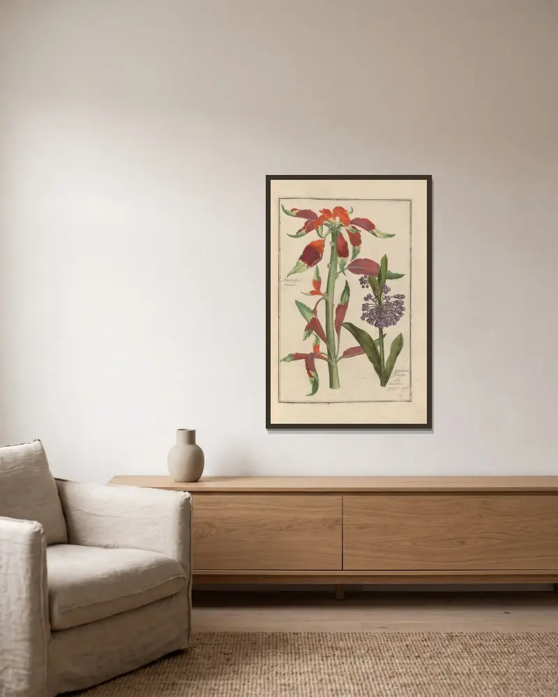 Theatrum florae Pl.65 von Daniel Rabel gerahmt an einer Wand
