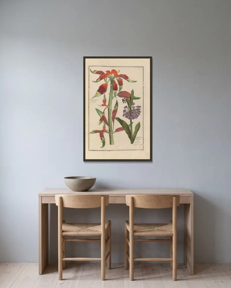 Theatrum florae Pl.65 von Daniel Rabel gerahmt an einer Wand