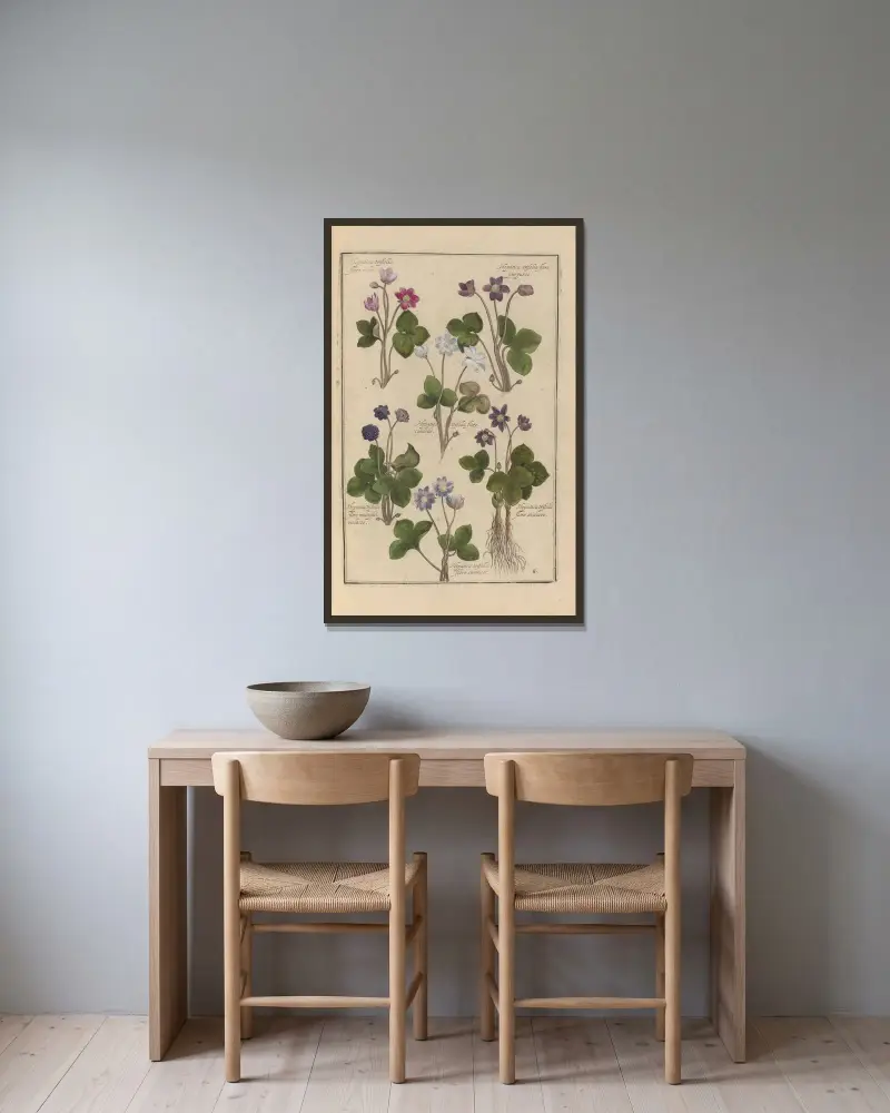 Theatrum florae Tafel 69 von Daniel Rabel gerahmt an einer Wand