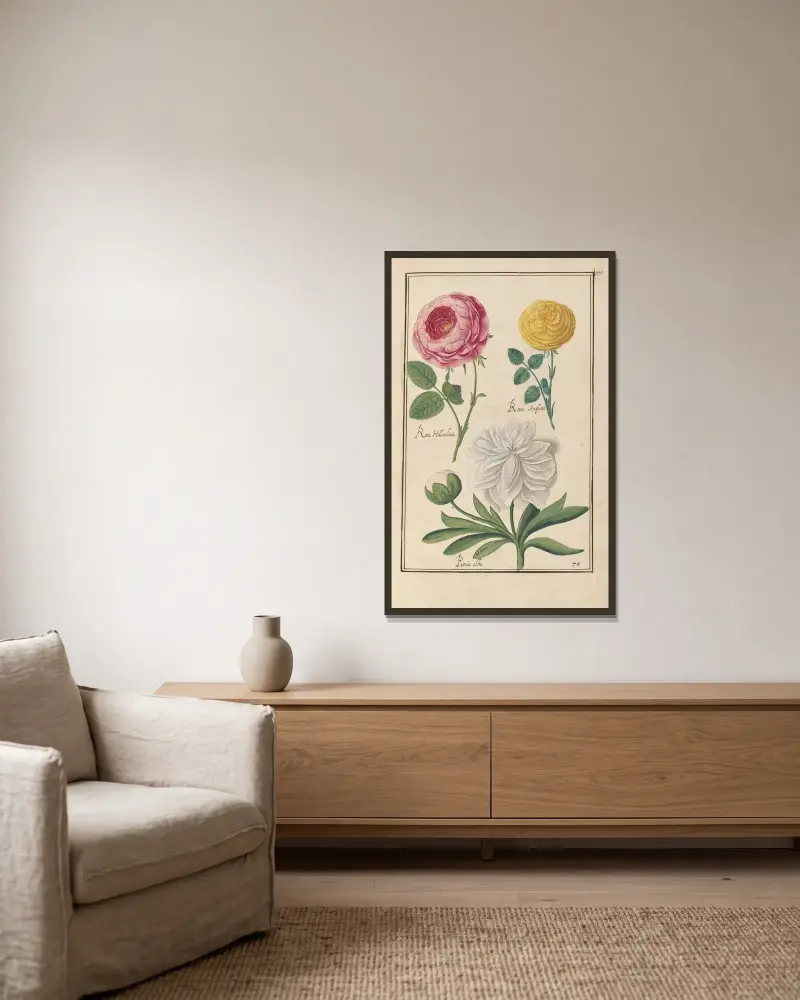 Theatrum florae Taf. 72 von Daniel Rabel gerahmt an einer Wand