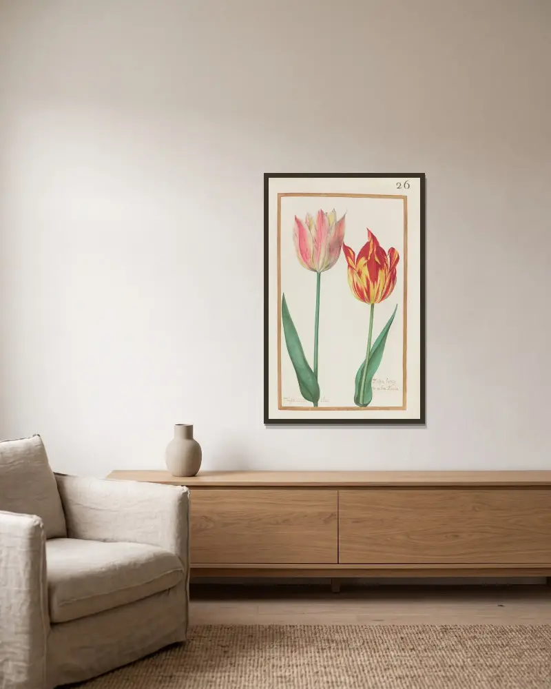 Tulipa mixta olias ; tulipa lutea et rubra mixta av Daniel Rabel inramad på en vägg