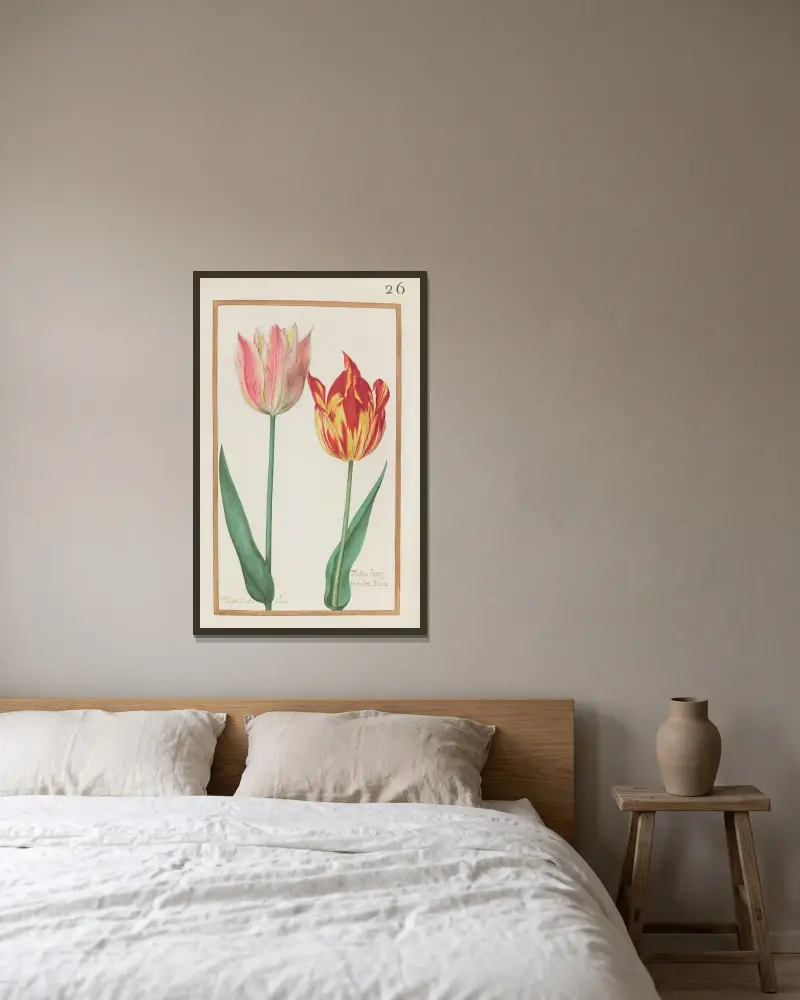 Tulipa mixta olias ; tulipa lutea et rubra mixta av Daniel Rabel inramad på en vägg
