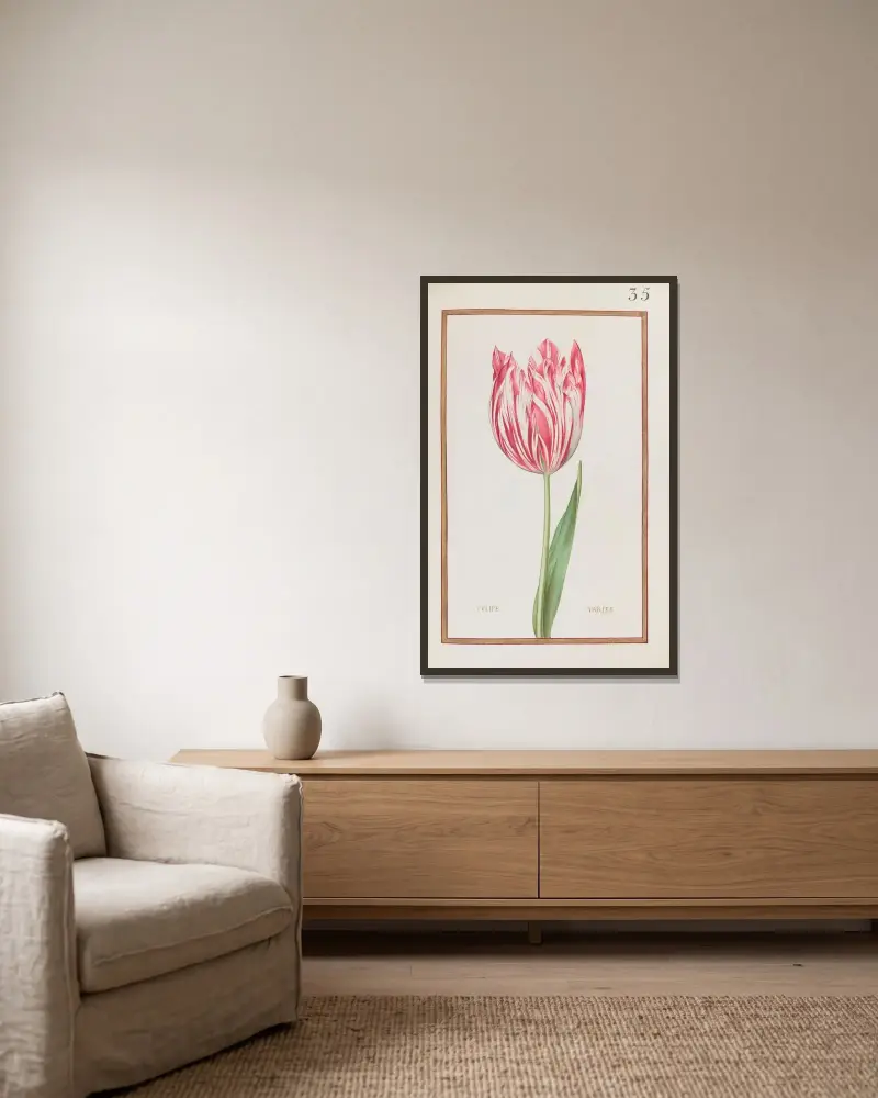 Verschiedene Tulpe von Daniel Rabel gerahmt an einer Wand