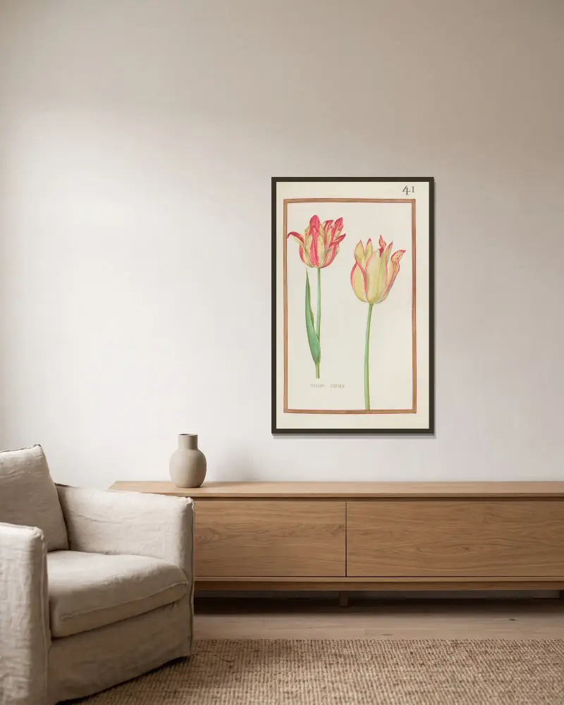 Geflammte Tulpe von Daniel Rabel gerahmt an einer Wand