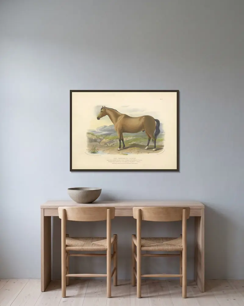 Das Connemara-Pferd von David Low gerahmt an einer Wand