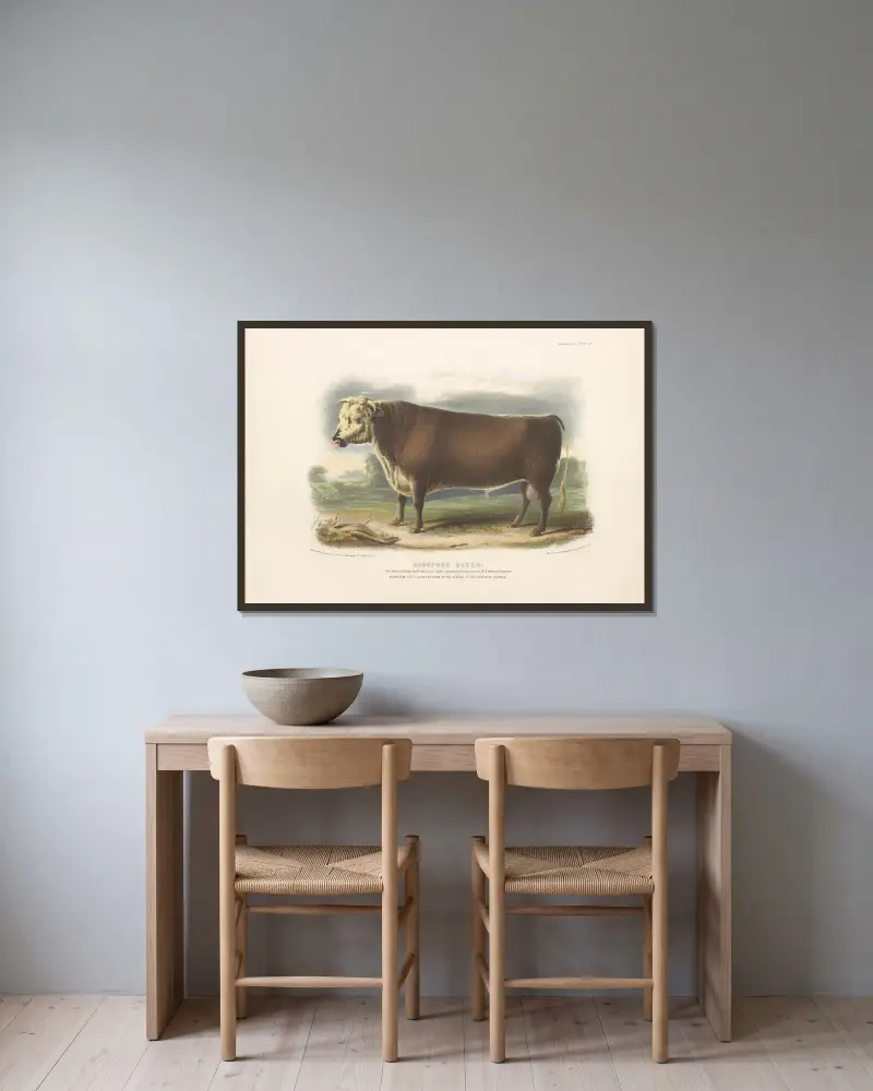 Die Hereford-Rasse von David Low gerahmt an einer Wand