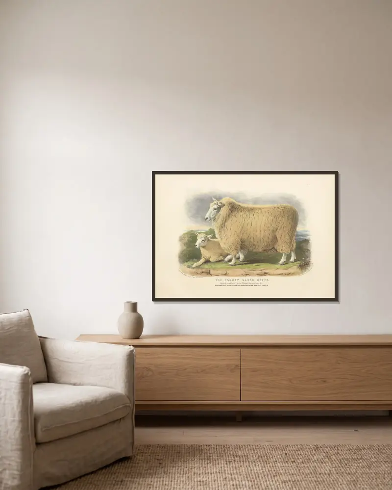 The Romney Marsh Breed, David Low v rámu na stěně