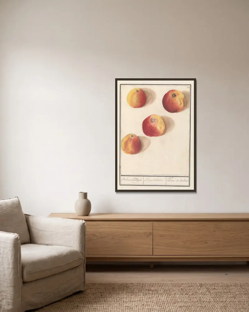 Jabłoń (Malus domestica) – jabłko czeskie, Anselmus Boëtius de Boodt w ramie na ścianie