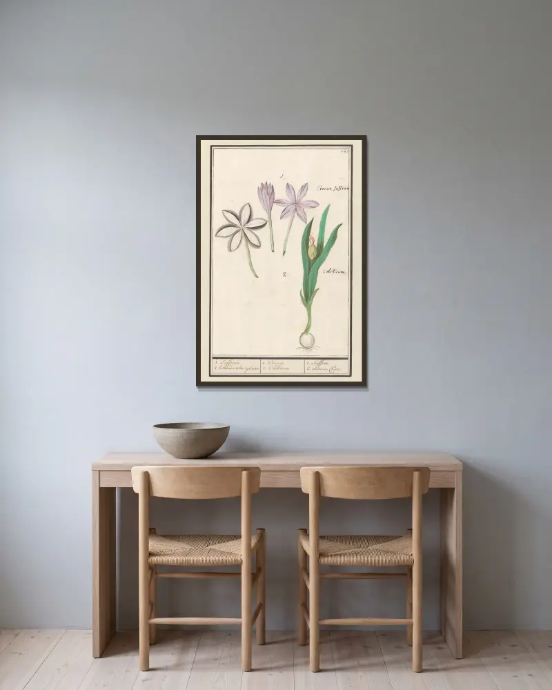 Herfsttijloos (Colchicum autumnale) 1. Saffraen. 2. hermodactelen tijloosen av Anselmus Boëtius de Boodt inramad på en vägg