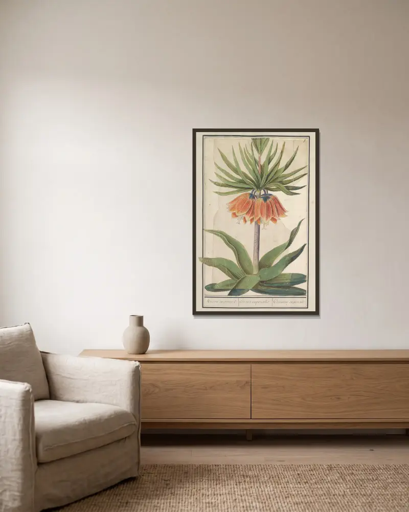 Keizerskroon (Fritillaria imperialis) Kroon imperiael. Corona imperialis Couronne imperiale av Anselmus Boëtius de Boodt inramad på en vägg