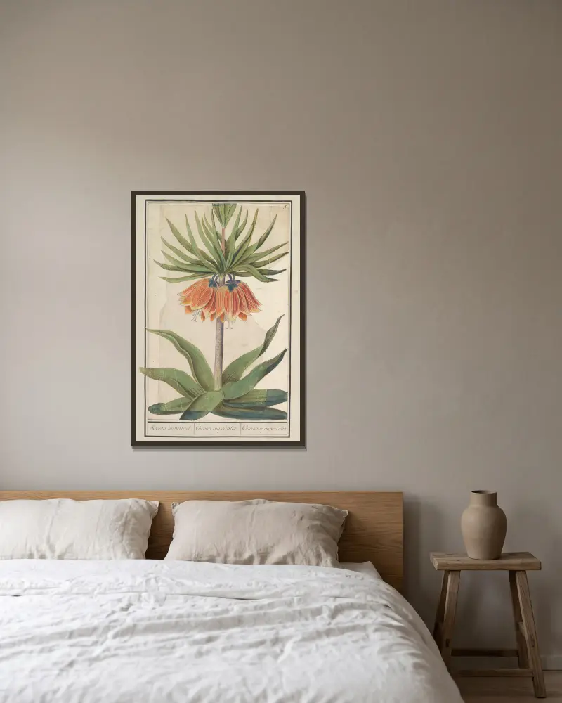 Keizerskroon (Fritillaria imperialis) Kroon imperiael. Corona imperialis Couronne imperiale av Anselmus Boëtius de Boodt inramad på en vägg