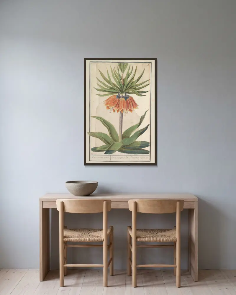 Keizerskroon (Fritillaria imperialis) Kroon imperiael. Corona imperialis Couronne imperiale av Anselmus Boëtius de Boodt inramad på en vägg