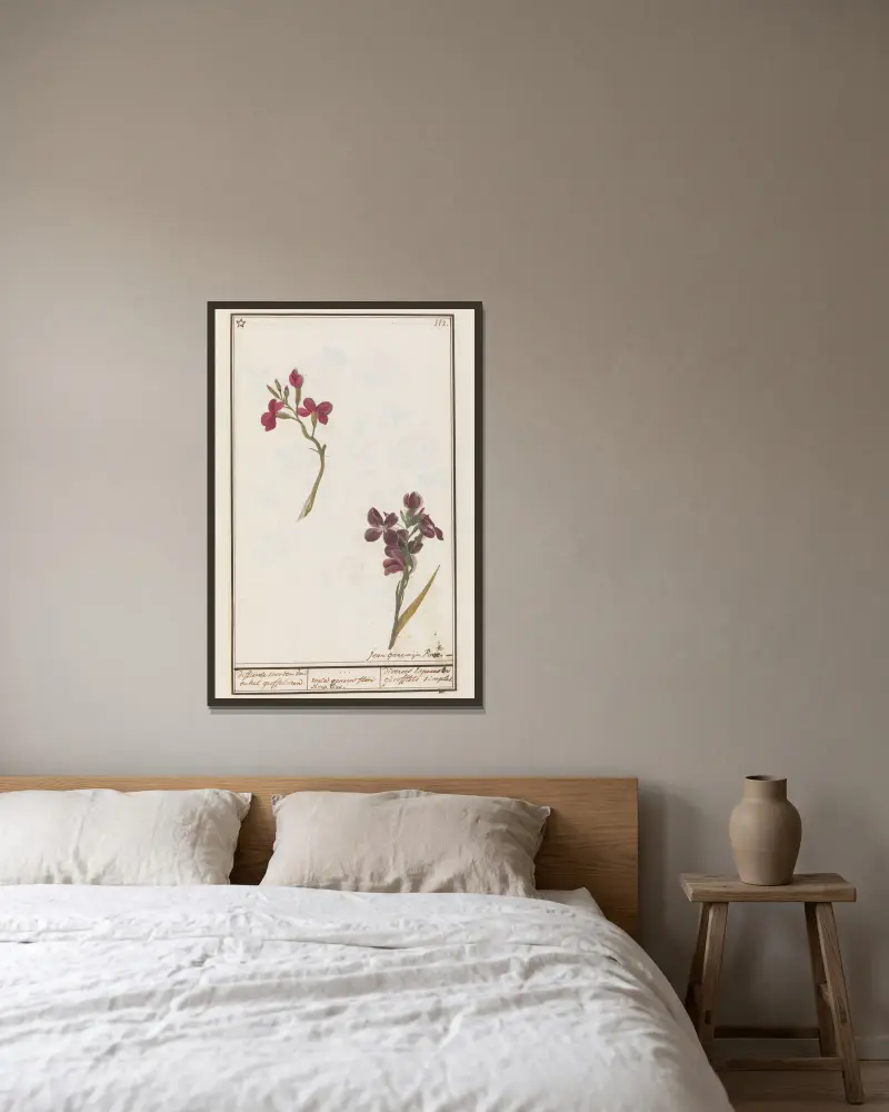 Muurbloem (Erysimum cheiri) differente soorten van enkel groffelieren varia genera flore simplici. av Anselmus Boëtius de Boodt inramad på en vägg
