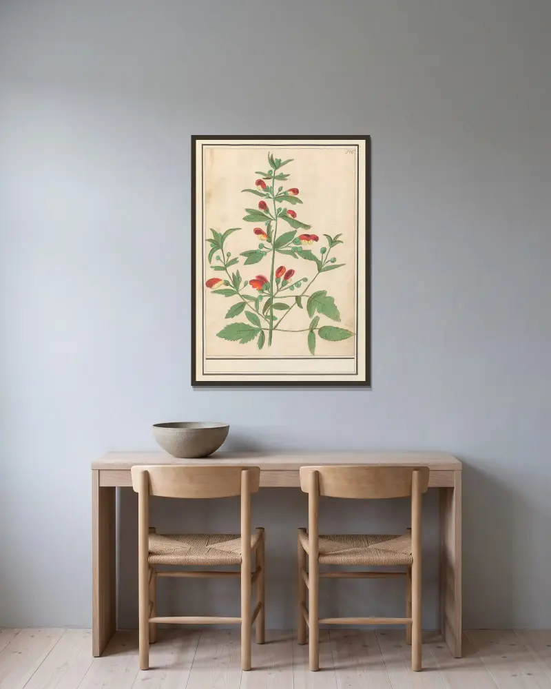 Plant met roodgele bloemen (onbekende soort) av Anselmus Boëtius de Boodt inramad på en vägg