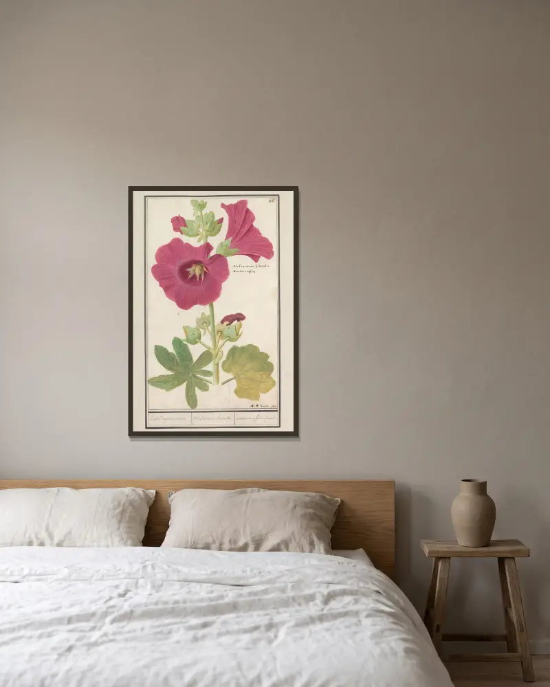 Stokroos (Alcea rosea) Enkel wynter roosen. Malva rosea hiemalis. passerose a fleur simple. av Anselmus Boëtius de Boodt inramad på en vägg