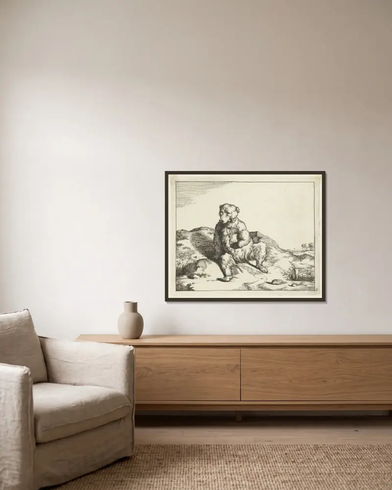 Sitzender Bär von vorne gesehen von Marcus de Bye gerahmt an einer Wand