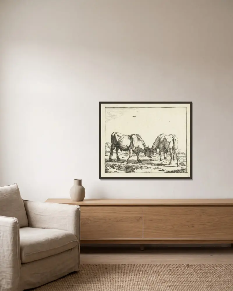 Zwei Stiere, Kopf an Kopf von Marcus de Bye gerahmt an einer Wand