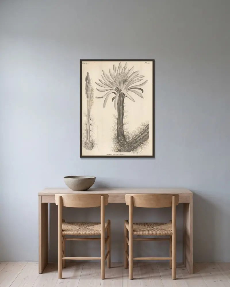Cereus serpentinus von Augustin Pyramus de Candolle gerahmt an einer Wand