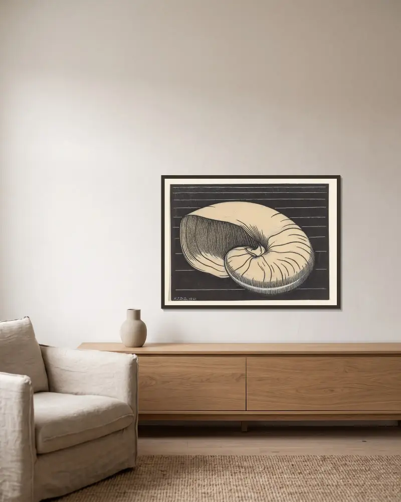 Nautilus shell von Julie de Graag gerahmt an einer Wand