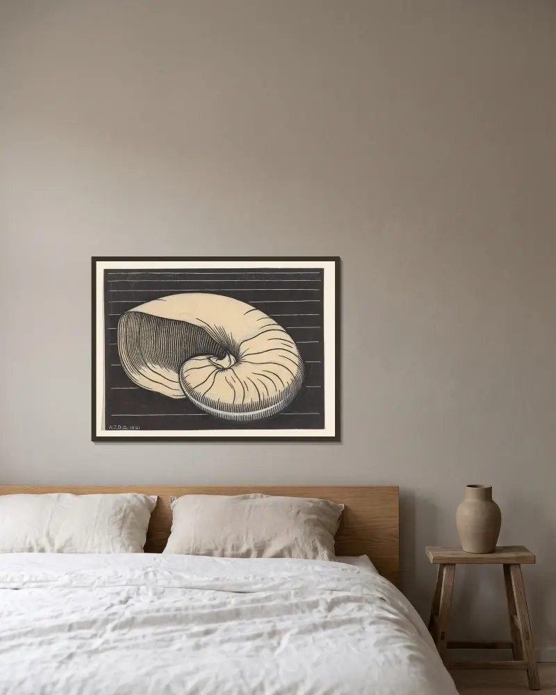 Nautilus shell von Julie de Graag gerahmt an einer Wand