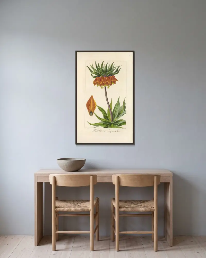 Fritillaria imperialis av Jean Claude Michel Mordant de Launay inramad på en vägg