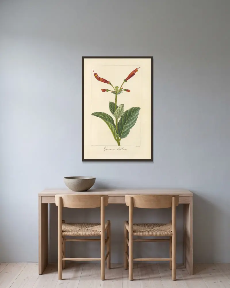 Gesneria bulbosa, Jean Claude Michel Mordant de Launay v rámu na stěně