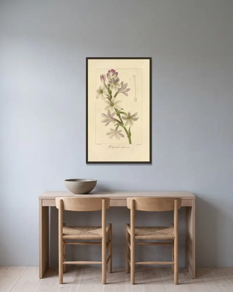 Polyanthes tuberosa av Jean Claude Michel Mordant de Launay inramad på en vägg