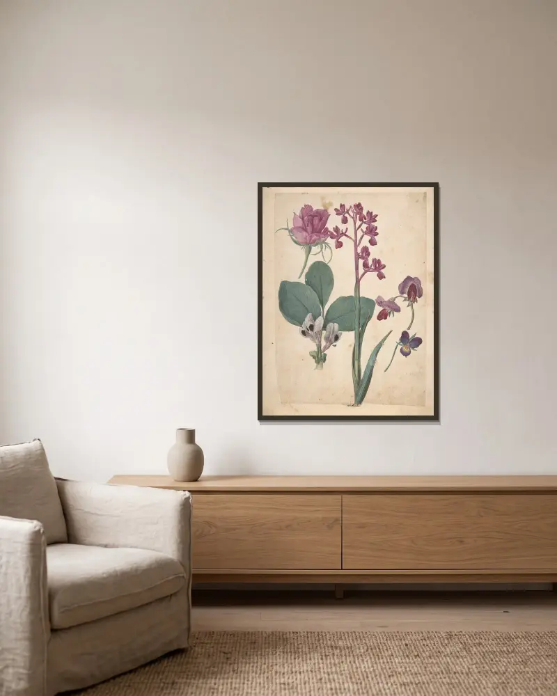 A Sheet of Studies of Flowers; A Rose, a Heartsease, a Sweet Pea, a Garden Pea, and a Lax-flowered Orchid av Jacques Le Moyne de Morgues inramad på en vägg