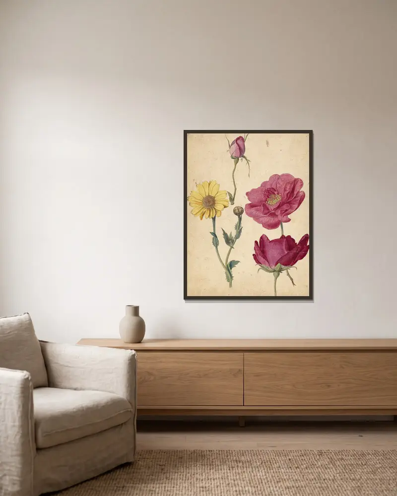 A Sheet of Studies with French Roses and an Oxeye Daisy av Jacques Le Moyne de Morgues inramad på en vägg