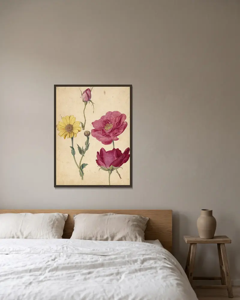 A Sheet of Studies with French Roses and an Oxeye Daisy av Jacques Le Moyne de Morgues inramad på en vägg